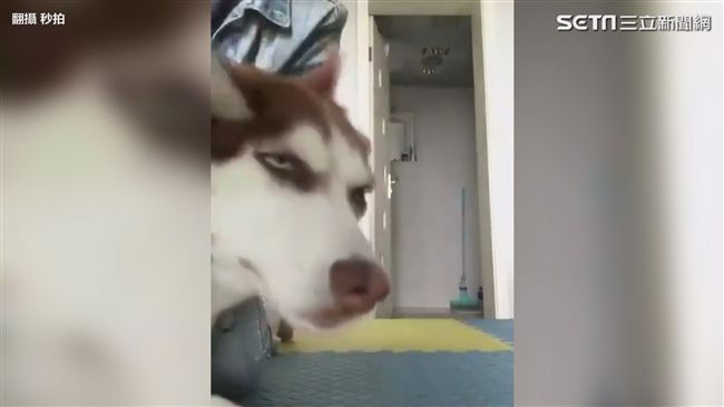 到底發生什麼事　月月白眼翻到後腦勺