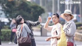 陸客,觀光,旅遊,自由行,旅行團,中國客 圖／記者林敬旻攝