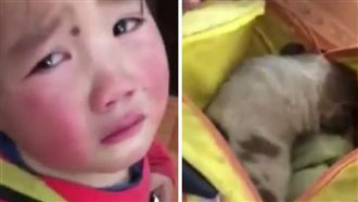 撿浪浪藏書包怕老師扔　萌娃哭求情