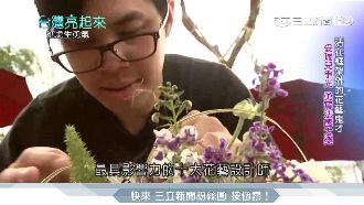 妥瑞兒爭光！花藝鬼才拿遍國際大獎