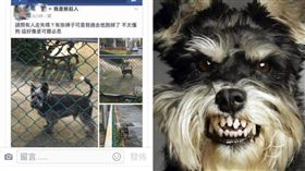 雪納瑞,可爾必思,馬爾濟斯（圖／翻攝自臉書