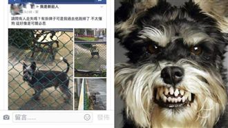 「可爾必思」走失？網友出糗引網瘋傳