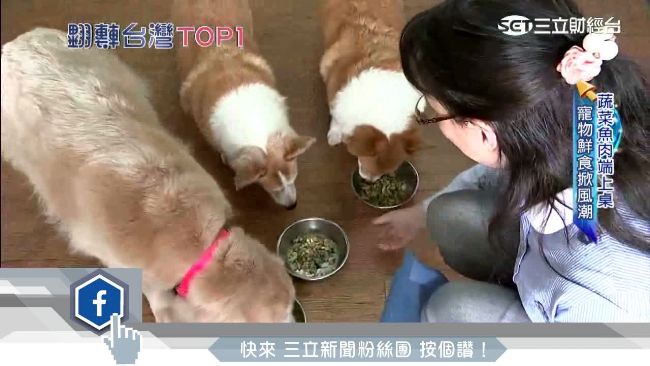 寵物也有總舖師！400道餐超多元