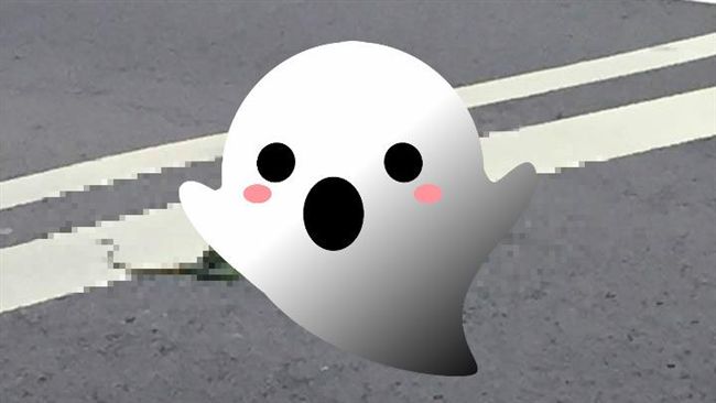 馬路上驚見「毒蛇」亂竄　網友全驚呆