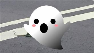 馬路上驚見「毒蛇」亂竄　網友全驚呆