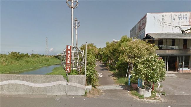 鄉公所為建設　竟「水泥封百年老樹」