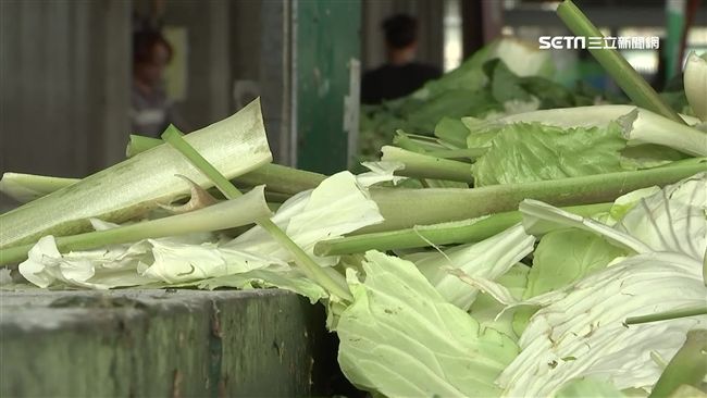 豪雨下不停影響採收　菠菜飆漲近3倍