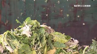 豪雨襲台菜價「漲」　農委會這樣說