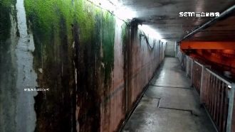 像走進鬼屋…地下道滿青苔濕牆民眾怕
