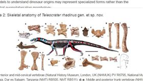 你鱷魚？恐龍旁系祖宗長相讓科學家驚呆（圖／翻攝自自然期刊網站nature.com）