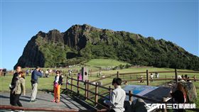 韓國旅遊,濟州島,油菜花,城山日出峰,AIYA咖啡廳,韓屋咖啡廳。（圖／記者簡佑庭攝）