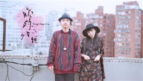 名家專用／Blow吹音樂／前「那我懂你意思了」成員趙謬、陳荒組新團「脆弱少女組」（勿用）