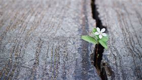 名家專用／商業周刊／逆境領導力（勿用）