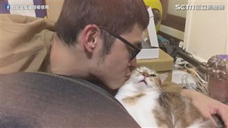 人貓情未了本土劇　肚臍大勝惹怒鼻毛