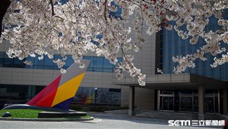 直擊空姐訓練中心　發現首爾賞櫻秘境