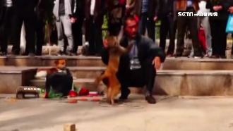 陸男搭三猴演話劇　槍決裝死超會演