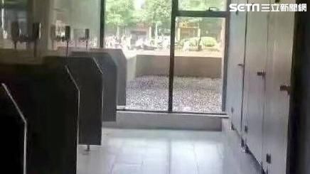 狼師VS女學生　畢旅飯店內當四腳獸