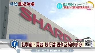 談群創、夏普　段行建：很多地方互補