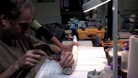 罕見生物「船蛆蛤」_http://www.pnas.org/search?fulltext=Teredo+navalis&submit=yes&x=0&y=0