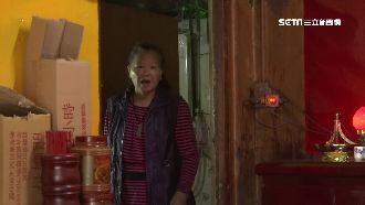 17隻犬貓不見　婦駁：怎不說我殺人