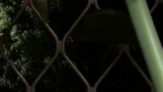 半夜校園傳來國旗歌　附近居民全嚇壞