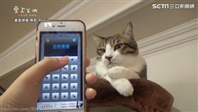 結果無法翻譯只能吸引牠們注意。