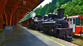 阿里山森林鐵路-蒸氣火車（圖／林務局提供）