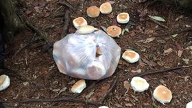 鳶嘴山登山步道遭不明宗教團體沿路丟棄麵包。（圖／擷取自爆料公社）