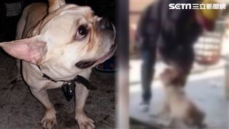 電擊棒電毛小孩　網友：怎麼不電自己