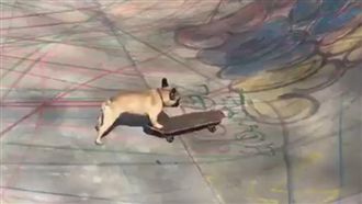 法鬥化身滑板小子　坡度、轉彎難不倒