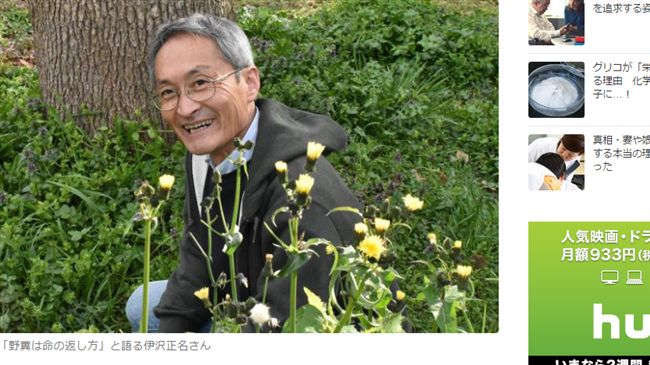 日攝影師堅持野外解放　用樹葉擦屁股