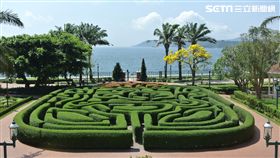 迪士尼樂園酒店 迪士尼樂園(圖/張家寧攝影)
