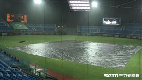 桃園球場下雨因雨延賽。（圖／記者王怡翔攝）