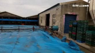 毒蛋場登記為民宅　業者皆不出面回應