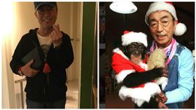 志村健IG驚見下體照　網友：手滑？
合成圖/翻攝自志村健IG