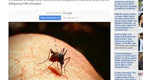 蚊子▲圖／翻攝《每日郵報》