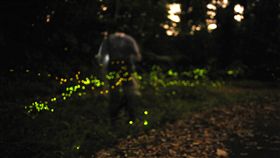 螢火蟲

https://www.flickr.com/photos/yaniseh/3625783662/in/photolist-6wp6aq-nFXYqE-nVcQQW-bAqbUS-nhTt9Q-nt52za-7YuW3w-eiQdmt-bBcJyQ-nVcXBn-7YuQoy-oaE5jw-efm1CB-7YrAQB-ocChqo-7YuS9A-7YuXLq-7YrFh8-nVcByN-