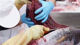 多圖／鮮切秀超吸睛　鮪魚這樣吃最對味（李鴻典攝）