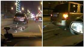 大陸謠傳虐狗照.小郭.拉不拉多（合成圖／翻攝微博）