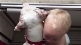 狗,救援,害怕,小男孩,睡覺,玩,狗保母,汪 圖／翻攝自The Dodo臉書影片　https://goo.gl/0WBdDI