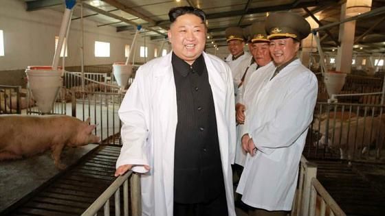 不甩美日再嗆聲　金正恩賞豬樂開懷