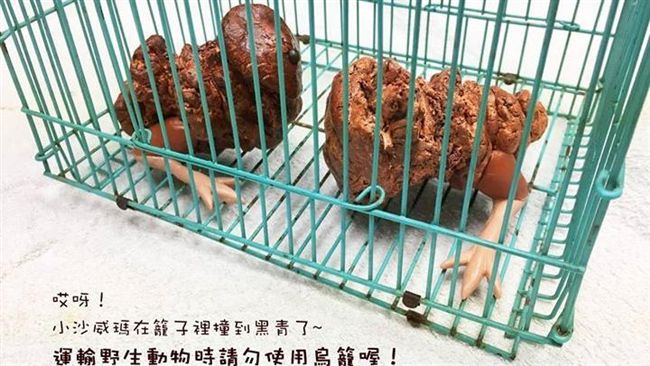 真的撿到了！「沙威瑪寶寶」長相曝光