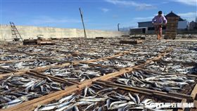 澎湖,旅遊,《 Joseph Rosendo's Travelscope》。（圖／交通部觀光局提供）