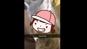 貓,食物,人類,喵,偷吃,學狗,挖洞,藏食　圖／翻攝自TouTube影片
https://goo.gl/nTkhG9