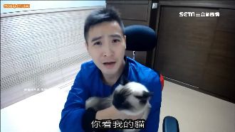 谷阿莫再出庭　「問這個」他快步上車