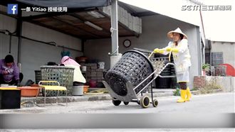 暖心「傾蚵仔車」　助青蚵嫂一臂之力