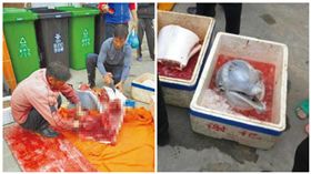 廣東珠海有人殺害中華白海豚。（合成圖／翻攝自新浪微博@珠海同城會）