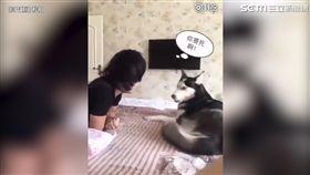 主人這種歌聲　讓月月聽了超想死。（圖／翻攝自秒拍）