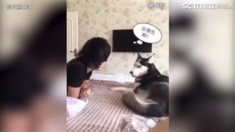 主人這種歌聲　讓月月聽了超想死