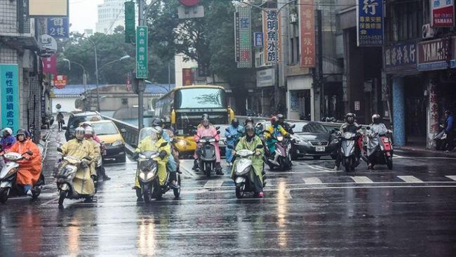 防登革熱！高市舉發陽性孳生源七百件